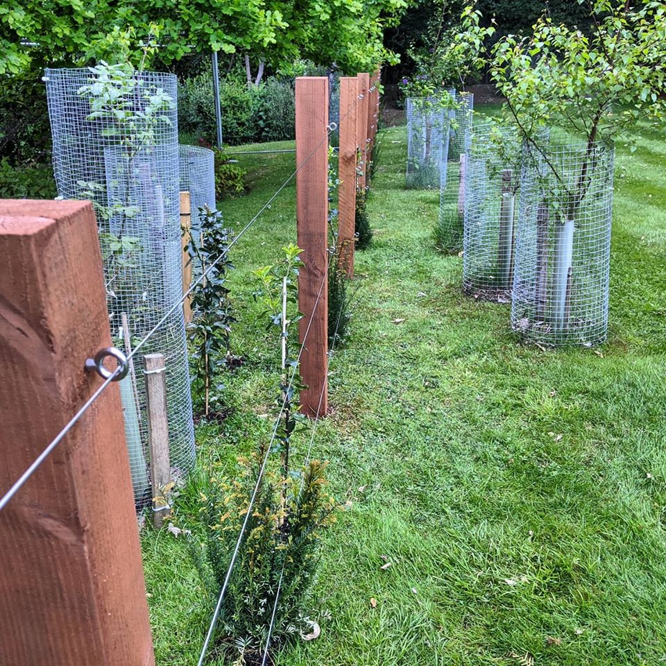 Wire balustrade stainless steel wire clamp decking patio area