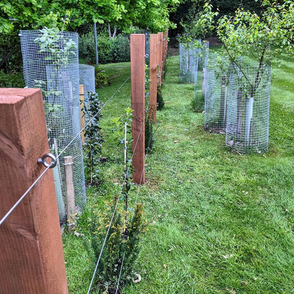 Wire balustrade stainless steel wire clamp decking patio area